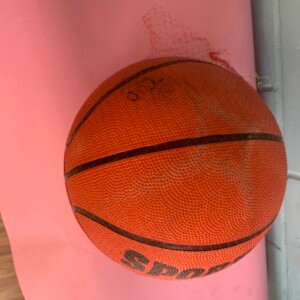 Premium Outdoor/Indoor Basketball