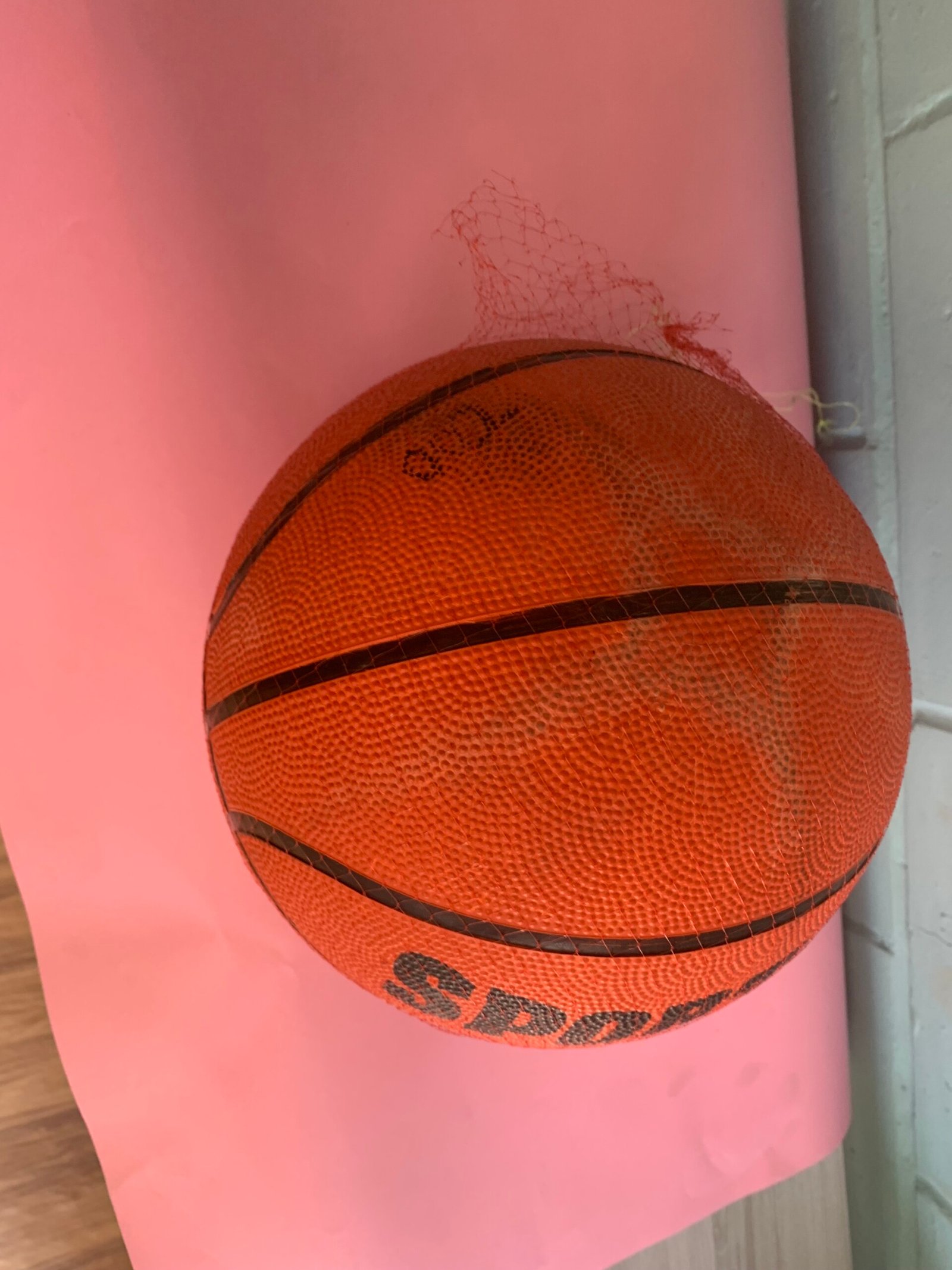 Premium Outdoor/Indoor Basketball